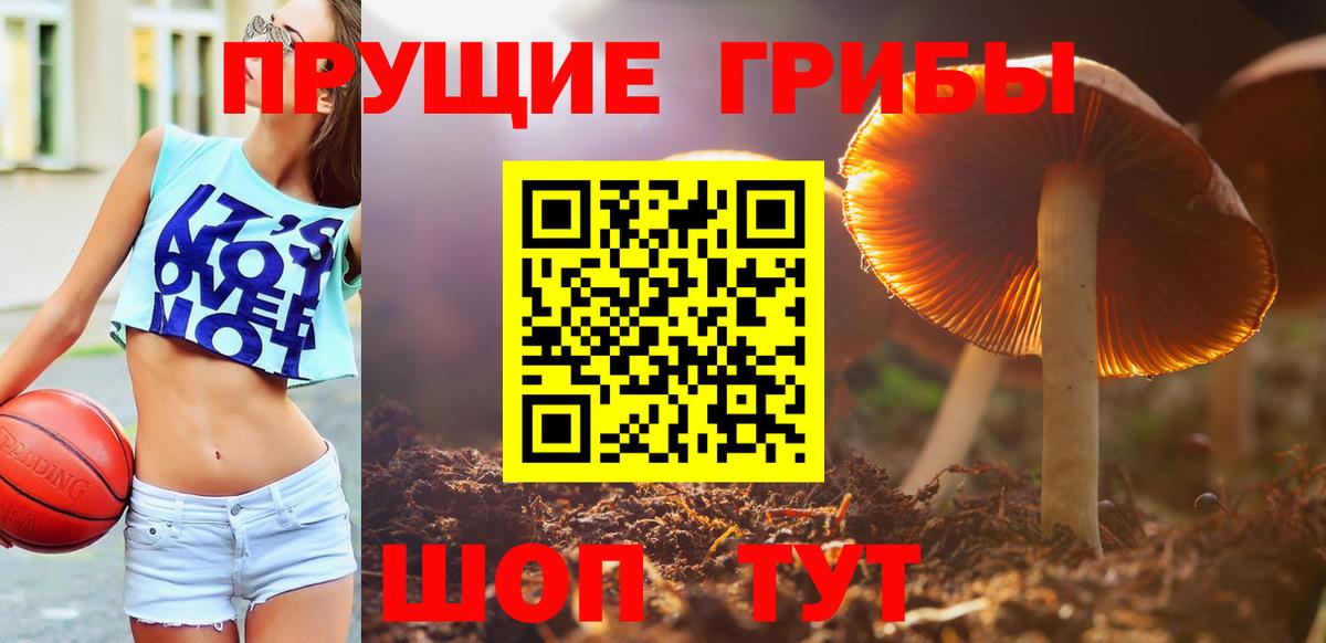 Галлюциногенные грибы Psilocybine cubensis  Вход с VPN  Вязники 