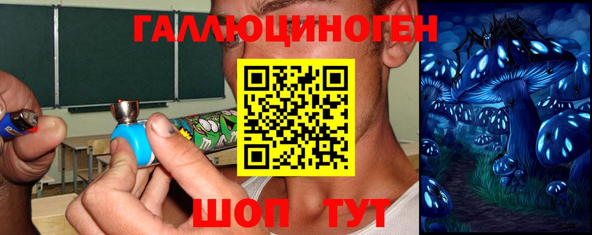 Галлюциногенные грибы Magic Shrooms Вязники